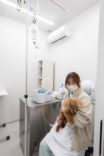犬とスタッフ