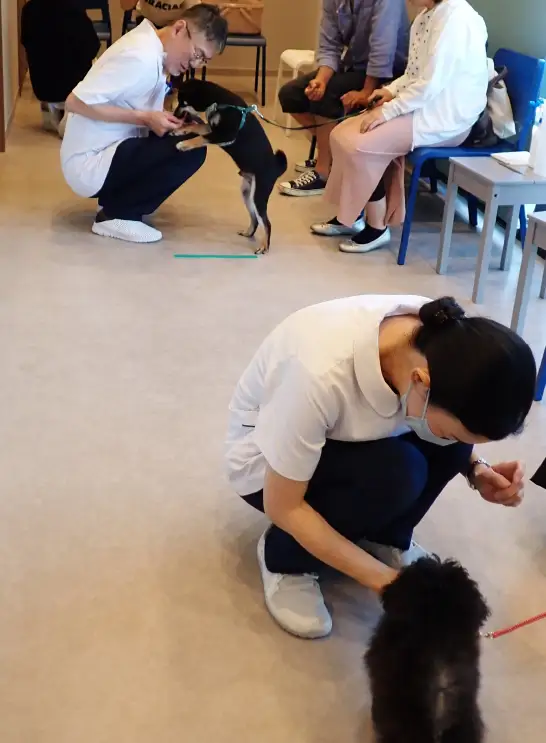 白衣も友達